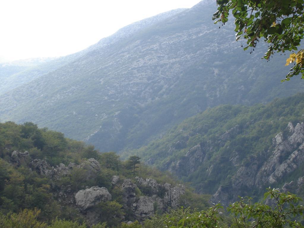 Holiday Home Paklenica 스타리그라드 파클레니차 객실 사진